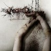 ABORTED - Strychnine.213 (2026) CD